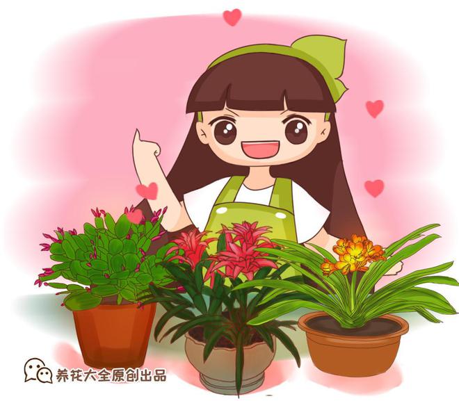 這些盆栽綠植，養(yǎng)在家里清新護(hù)眼，關(guān)鍵是大氣上檔次！