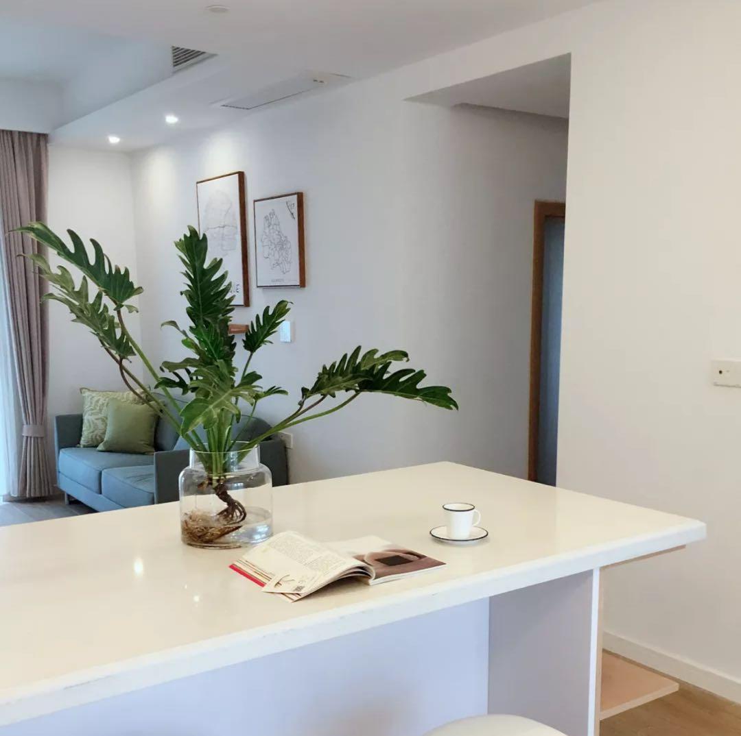 水培綠植有哪些_綠植水培植物_水培綠植該怎么辦