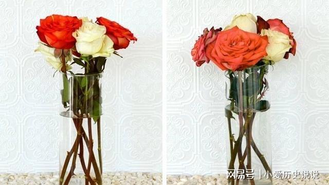 鮮花保鮮長(zhǎng)時(shí)間讓它不開花_鮮花保鮮長(zhǎng)時(shí)間讓它死亡_如何讓鮮花保鮮時(shí)間更長(zhǎng)