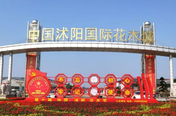 花卉批發(fā)市場(chǎng)一覽_花卉市場(chǎng)批發(fā)_離我最近的花卉批發(fā)市場(chǎng)