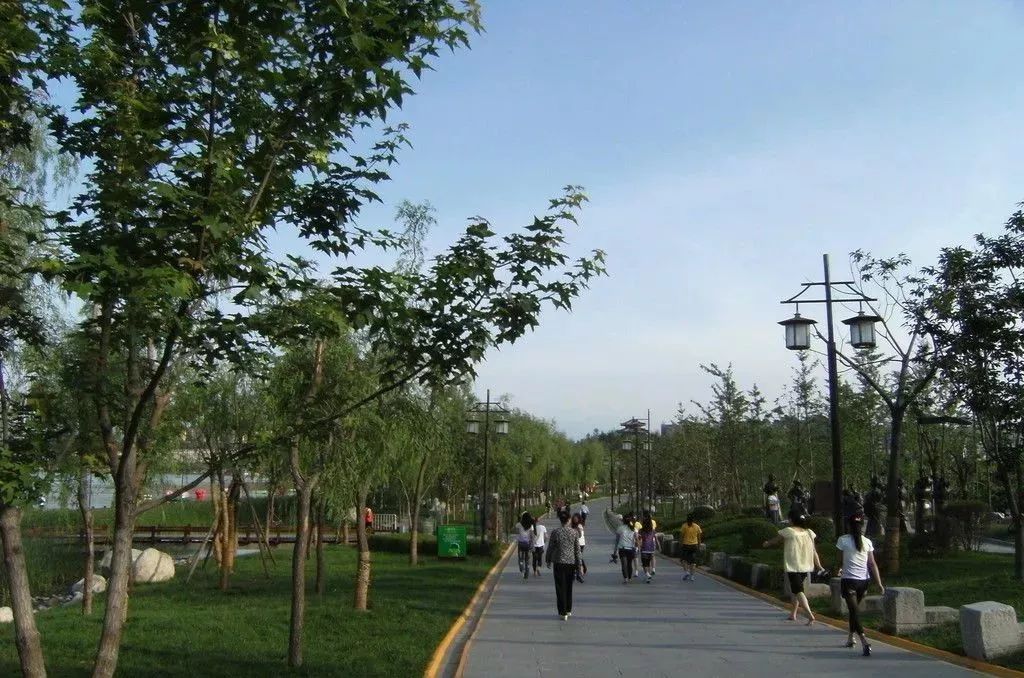 西安 鮮花_西安鮮花基地_西安鮮花網(wǎng)鮮花店同城