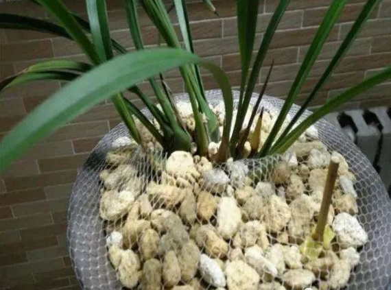 花盆沒有孔可以養(yǎng)花嗎_花盆沒有孔花能活么_花盆沒有孔可以種菜嗎