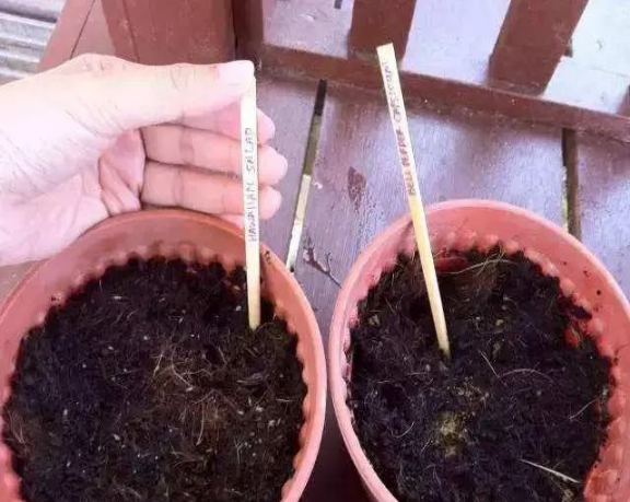 花盆沒有孔可以種菜嗎_花盆沒有孔可以養(yǎng)花嗎_花盆沒有孔花能活么