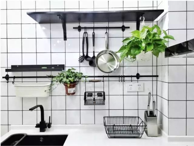 可以室內養(yǎng)的綠植_室內養(yǎng)綠植可以增加濕度嗎_室內養(yǎng)綠植可以凈化空氣嗎