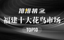 成都市場(chǎng)花鳥市場(chǎng)地址_成都市場(chǎng)花鳥市場(chǎng)價(jià)格_成都花鳥市場(chǎng)
