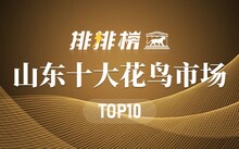 成都市場(chǎng)花鳥市場(chǎng)價(jià)格_成都市場(chǎng)花鳥市場(chǎng)地址_成都花鳥市場(chǎng)