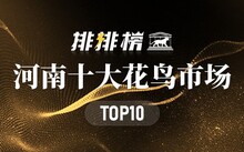 成都花鳥市場(chǎng)_成都市場(chǎng)花鳥市場(chǎng)價(jià)格_成都市場(chǎng)花鳥市場(chǎng)地址