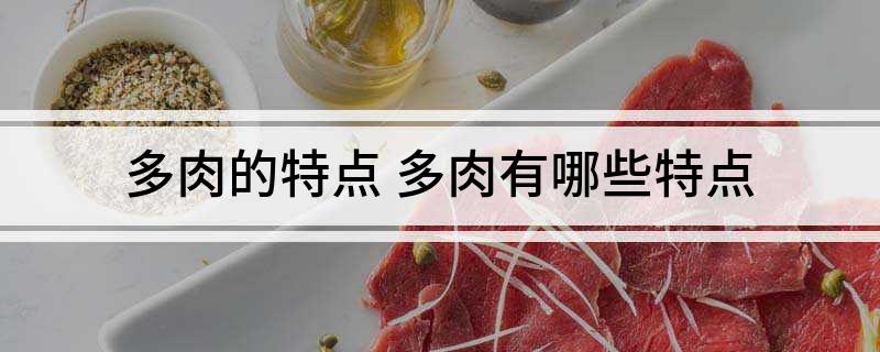 <strong>多肉的特點 多肉有哪些特點</strong>