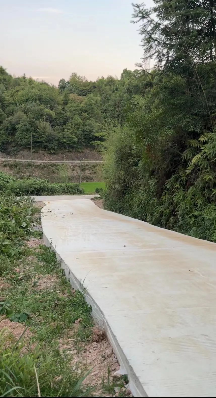 送給奶奶的花_送給奶奶花看圖寫話_送給奶奶花比較實用一點的禮物