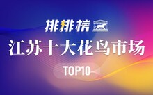 成都花鳥市場_成都市場花鳥市場價(jià)格_成都市場花鳥市場地址