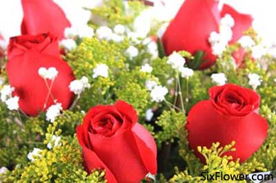 送送花祝福語_送花送多少朵_送送花是送一束還是一朵