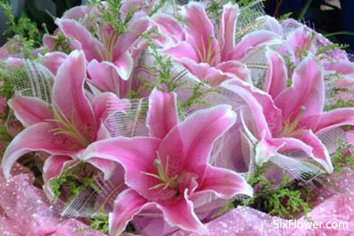 老人祝壽送花，為老人祝壽送什么花好？