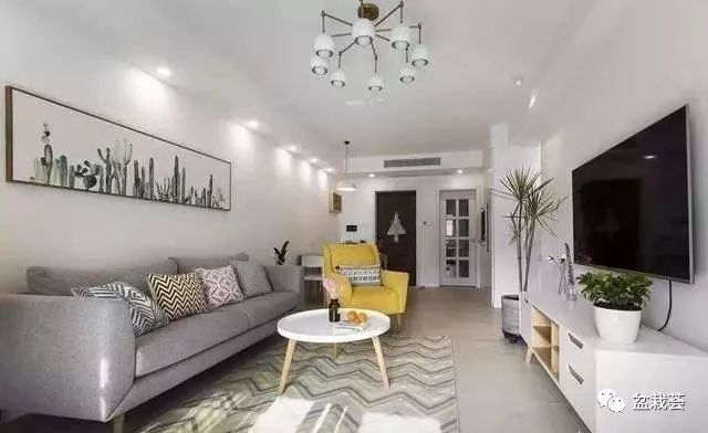 電視客廳背景墻綠植放哪里好_客廳電視背景墻放什么綠植_電視客廳背景墻綠植放什么好看