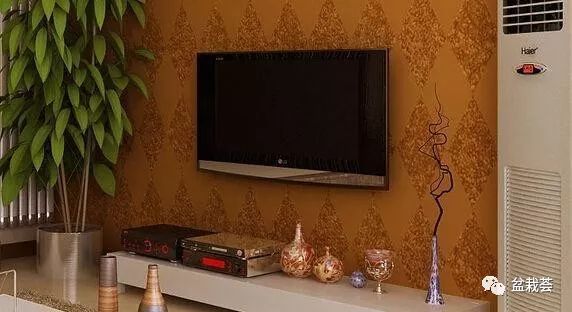 客廳電視背景墻放什么綠植_電視客廳背景墻綠植放什么好看_電視客廳背景墻綠植放哪里好