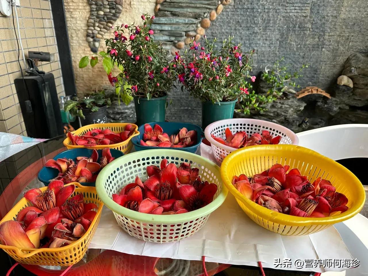 <strong>老人稱(chēng)它為“英雄花”，又有“祛濕花”之稱(chēng)，遇見(jiàn)都會(huì)撿些帶回家</strong>