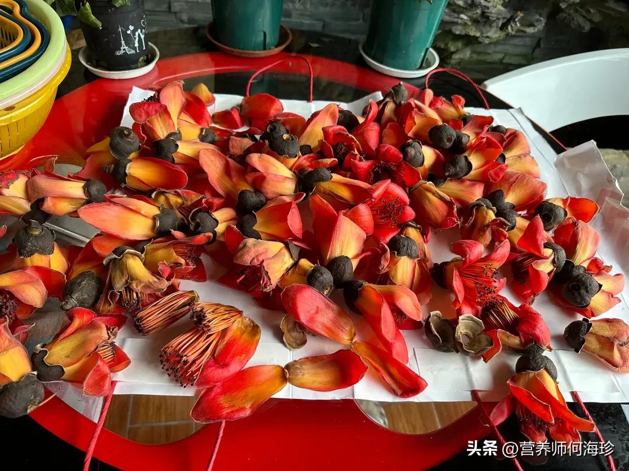 家里養(yǎng)斑馬花好不好_好養(yǎng)斑馬花家里養(yǎng)好嗎_斑馬花適合家庭養(yǎng)嗎