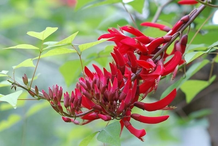 別人生日的時(shí)候應(yīng)該送什么鮮花？