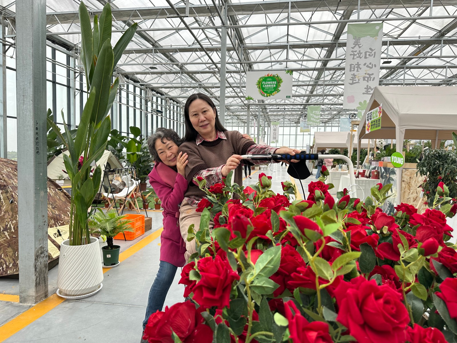 洛陽(yáng)花卉市場(chǎng)電話號(hào)碼_洛陽(yáng)花卉市場(chǎng)_洛陽(yáng)市花卉市場(chǎng)營(yíng)業(yè)時(shí)間