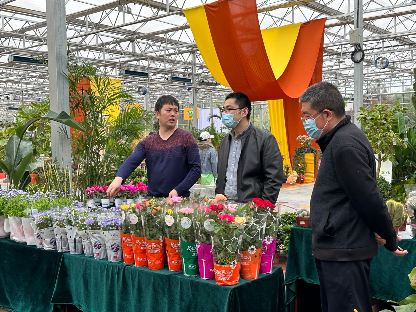 洛陽(yáng)花卉市場(chǎng)_洛陽(yáng)花卉市場(chǎng)電話號(hào)碼_洛陽(yáng)市花卉市場(chǎng)營(yíng)業(yè)時(shí)間