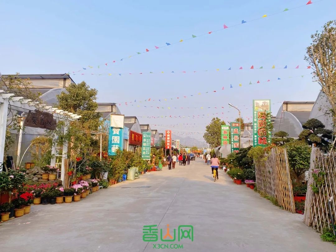 珠?；ɑ苁袌瞿睦锉阋薩珠海市花卉批發(fā)市場_珠?；ɑ苁袌雠l(fā)市場