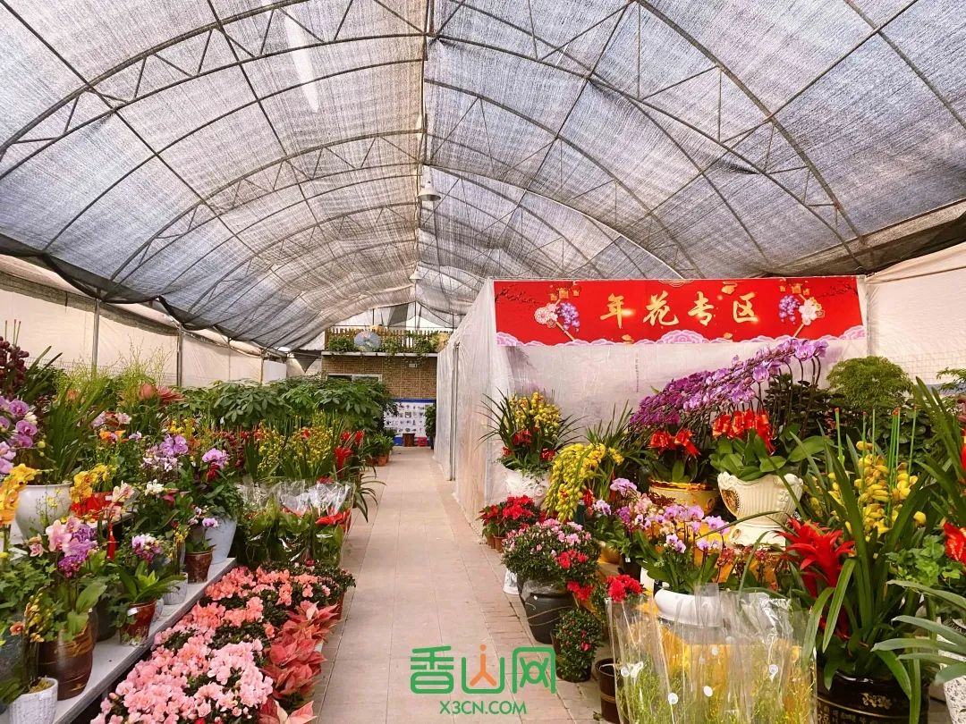 珠海市花卉批發(fā)市場_珠海花卉市場批發(fā)市場_珠?；ɑ苁袌瞿睦锉阋?/></p>
<p>這個(gè)格馨花卉世界，就在東坑村的附近。好幾條長長的花街，每家店都眼花繚亂到讓人挪不動(dòng)腳步。</p>
<p><img src=