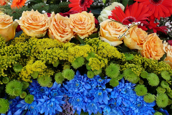 花卉綠植招標(biāo)網(wǎng)(綠植采購(gòu)招標(biāo)文件)