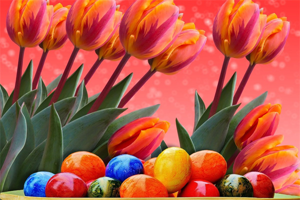 男性朋友生日送什么鮮花好(男性朋友生日送什么花比較好)