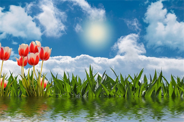 閨蜜生日送幾朵花合適(閨蜜生日送花送多少朵合適)