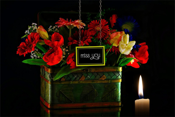 開業(yè)送什么鮮花好(開業(yè)送什么鮮花好一點)