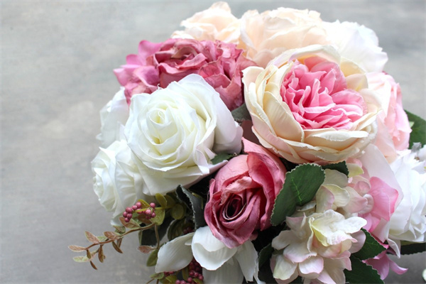 芍藥花適合盆栽嗎(芍藥花適合盆栽嗎視頻)